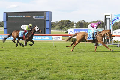 TWO FROM TWO FOR ONPICALO..